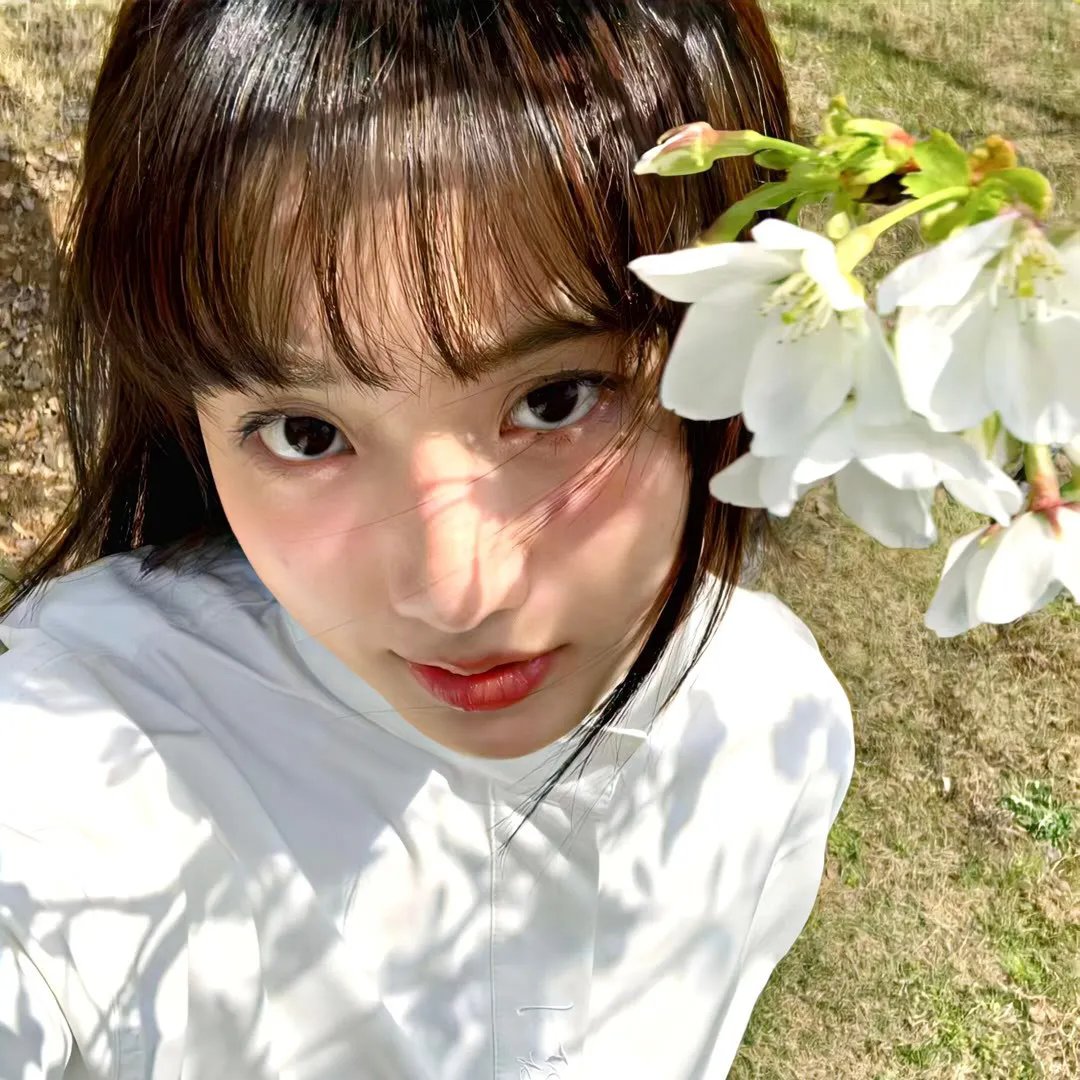 弗莱蒙与希特伦